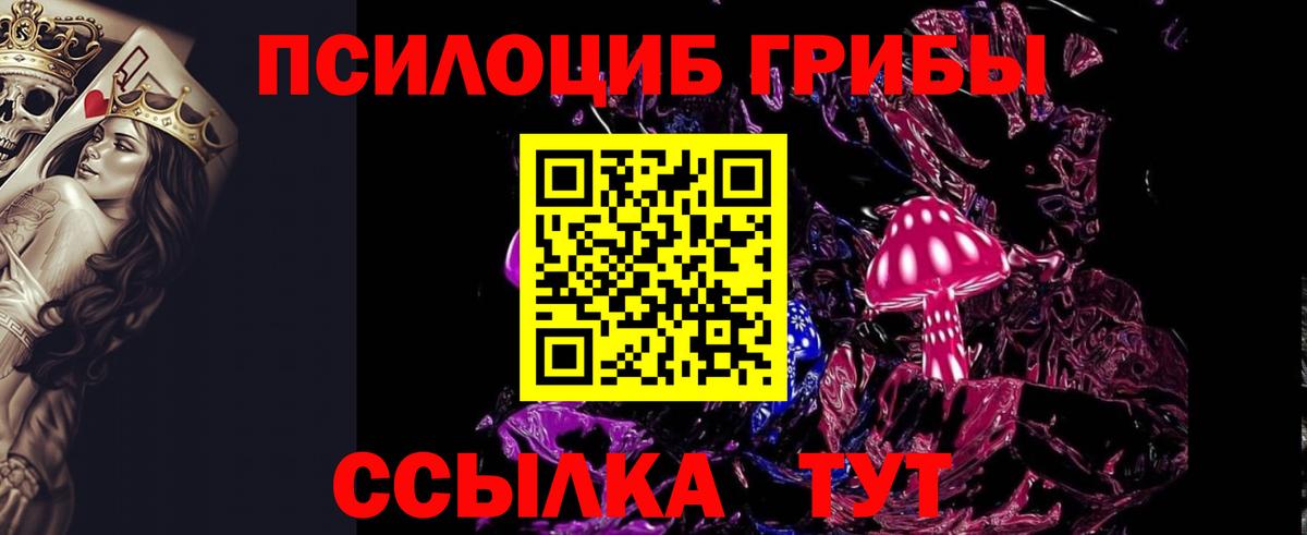 Галлюциногенные грибы Psilocybe  Вход с VPN  Новошахтинск  магазин  наркотиков  Псилоцибиновые грибы Magic Shrooms 